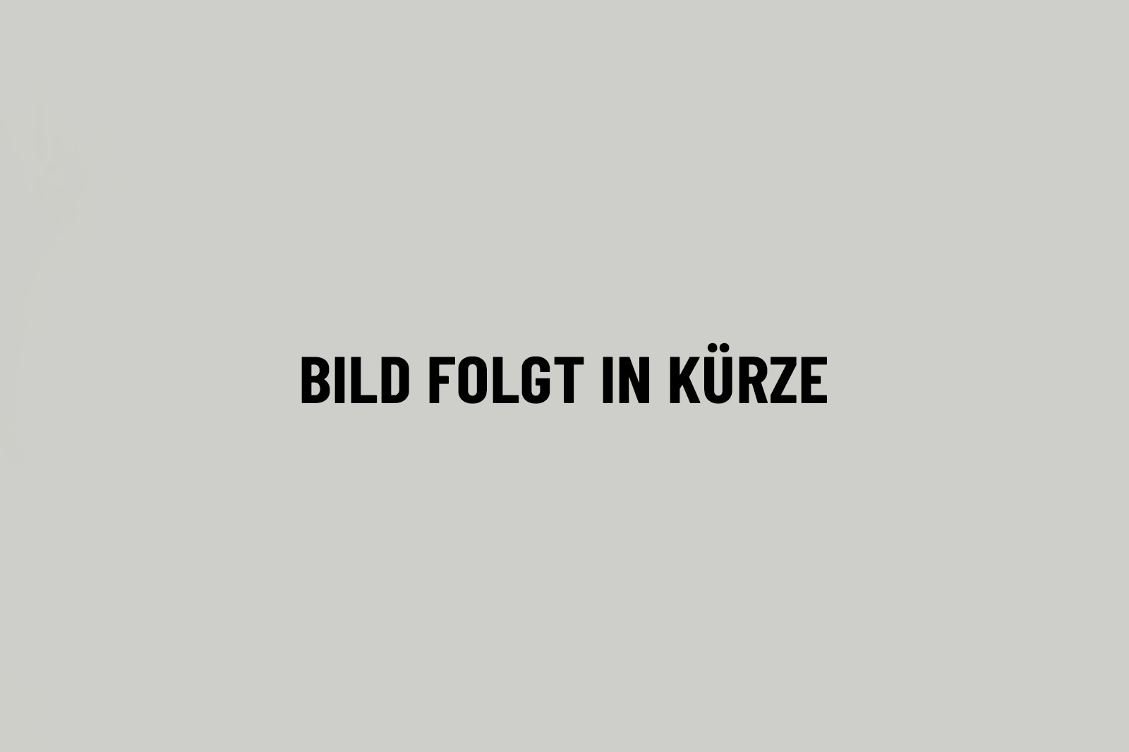 bild-in-kuerze